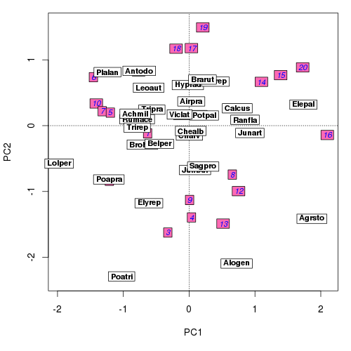 PCA biplot of the dune meadow data with labels added by ordilabel()