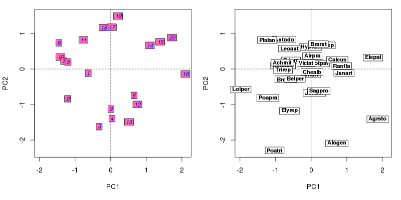Side-by-side PCA biplots of the dune meadow data with labels added by ordilabel()