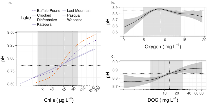 Figure 4 from the paper. (a–c) GAM partial effect splines for significant metabolic variables. Dotted lines: means of y and x; Shaded area: middle 90% of all observations. Rug: data points. (a) GAM splines for chlorophyll a, with lakes with significantly different splines to the global spline indicated by color/hue and linetype. (b) GAM spline of oxygen, with standard errors indicated by shading. (c) GAM spline of dissolved organic carbon, with standard errors indicated by shading.